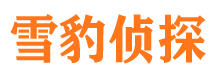 通道市私家侦探